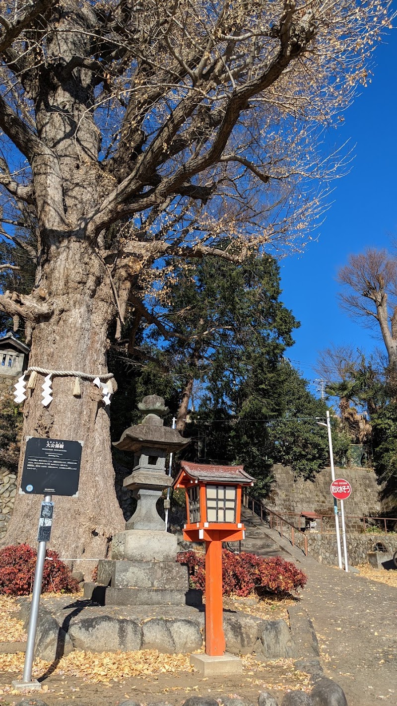 中神熊野神社の大イチョウ