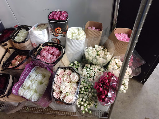 Florist «Botanica Wholesale Florist», reviews and photos, 3208 International Pl, Irving, TX 75062, USA