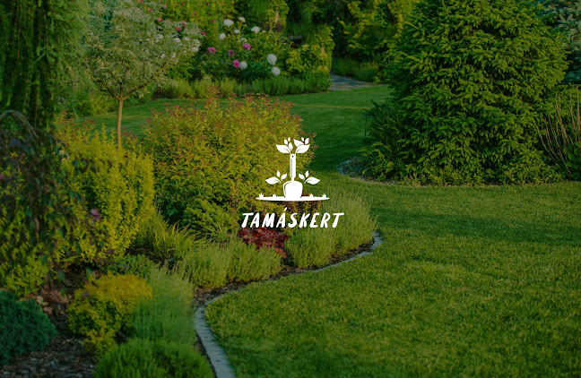 Győr, Kinizsi Pál u. 3, 9030