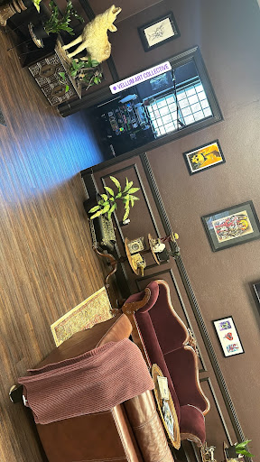 Find feminine skull tattoos ideas for your next unique tattoo in Chicopee at Vellum Art Collective Tattoo Studio