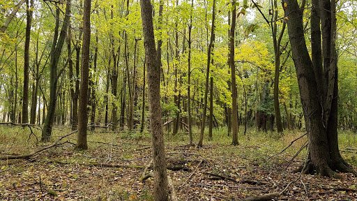 Performing Arts Theater «Sharon Lynne Wilson Center for the Arts», reviews and photos, 19805 W Capitol Dr, Brookfield, WI 53045, USA