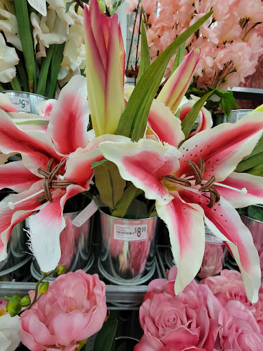 Craft Store «Michaels», reviews and photos, 13061 Fair Lakes Shopping Center, Fairfax, VA 22033, USA