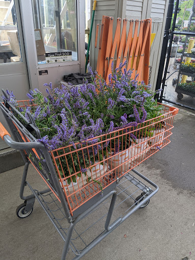 Home Improvement Store «The Home Depot», reviews and photos, 244 US-202, Flemington, NJ 08822, USA