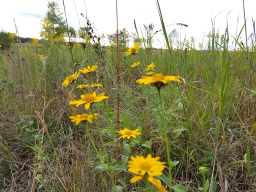 Nature Preserve «St. Croix Savanna Scientific and Natural Area (SNA)», reviews and photos, Osprey Blvd, Bayport, MN 55003, USA