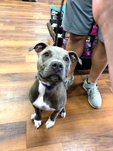 Pet Store «Pet Valu», reviews and photos, 2290 Central Park Ave, Yonkers, NY 10701, USA