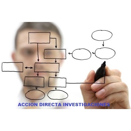 Acción Directa Investigación