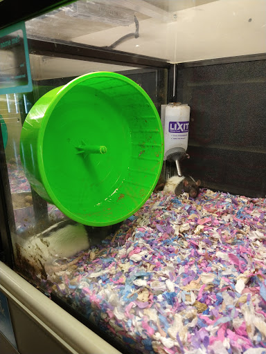 Pet Supply Store «PetSmart», reviews and photos, 300 N Congress Ave, Lake Park, FL 33403, USA