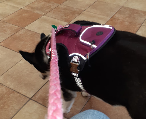 Pet Supply Store «PetSmart», reviews and photos, 7730 S Cicero Ave, Burbank, IL 60459, USA