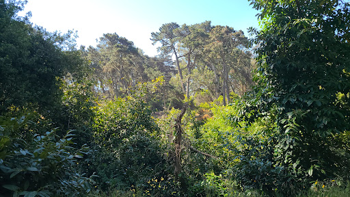 Disc Golf Course «Golden Gate Park Disc Golf Course», reviews and photos, 99 Marx Meadow Dr, San Francisco, CA 94121, USA