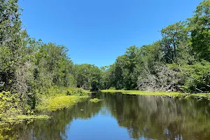 Swamp Fever Airboat Adventures image