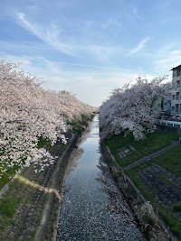 法蓮桜町街区公園