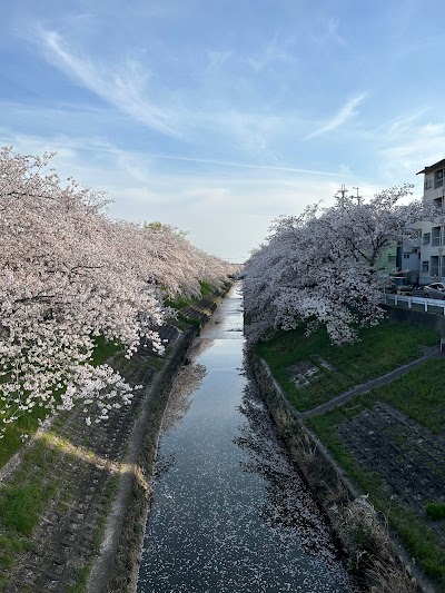法蓮桜町街区公園