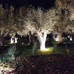 Photo n°8 de l'avis de Tilla. fait le 24/09/2020 à 17:37 sur le  Aquamadre - Natura d'Eventi à Triflisco