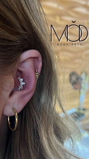 Explore meaningful tattoos idea, creative tattoo ideas in Denver, available at Mod Body Arts