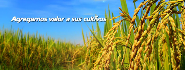 Opinii despre Grupo Andina în Miraflores - Mercado