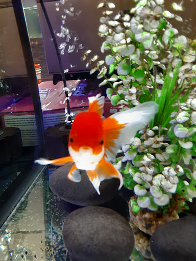 Aquarium & Reptile Depot image