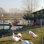 Photo n°1 de l'avis de Yahima.e fait le 16/01/2022 à 20:17 sur le  Oasi lago dei Cigni à Milan