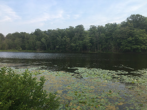 Country Club «Hickory Ridge Golf & Country Club», reviews and photos, 15816 Lynch Rd, Holley, NY 14470, USA