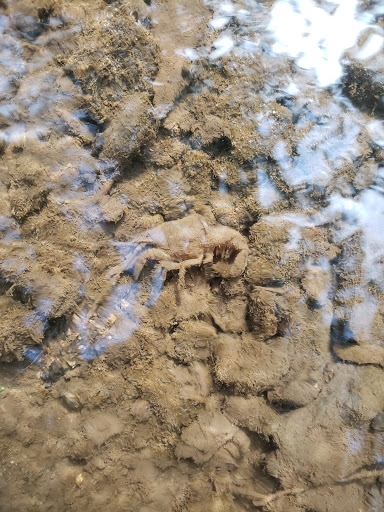 Park «Hounz Lane Park», reviews and photos, 2300 Hounz Ln, Louisville, KY 40223, USA