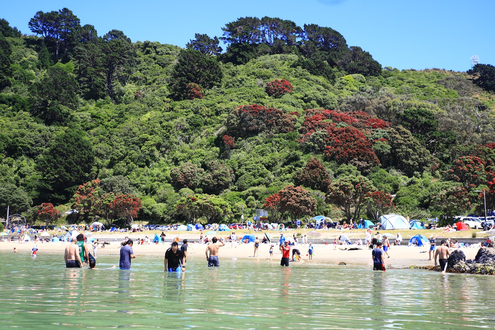 Scorching Bay Beach photo #8