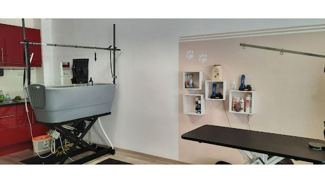Caro’s Hundesalon Beautiful Animals - Hundeschule