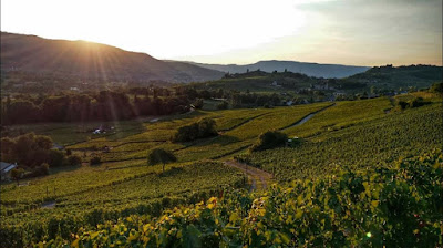 Domaine Yves Girard-Madoux Vignoble de la Pierre à Chignin