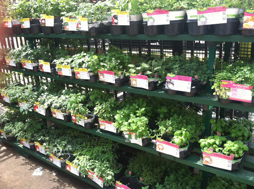 Discount Store «Walmart», reviews and photos, 9555 S Post Oak Rd, Houston, TX 77096, USA