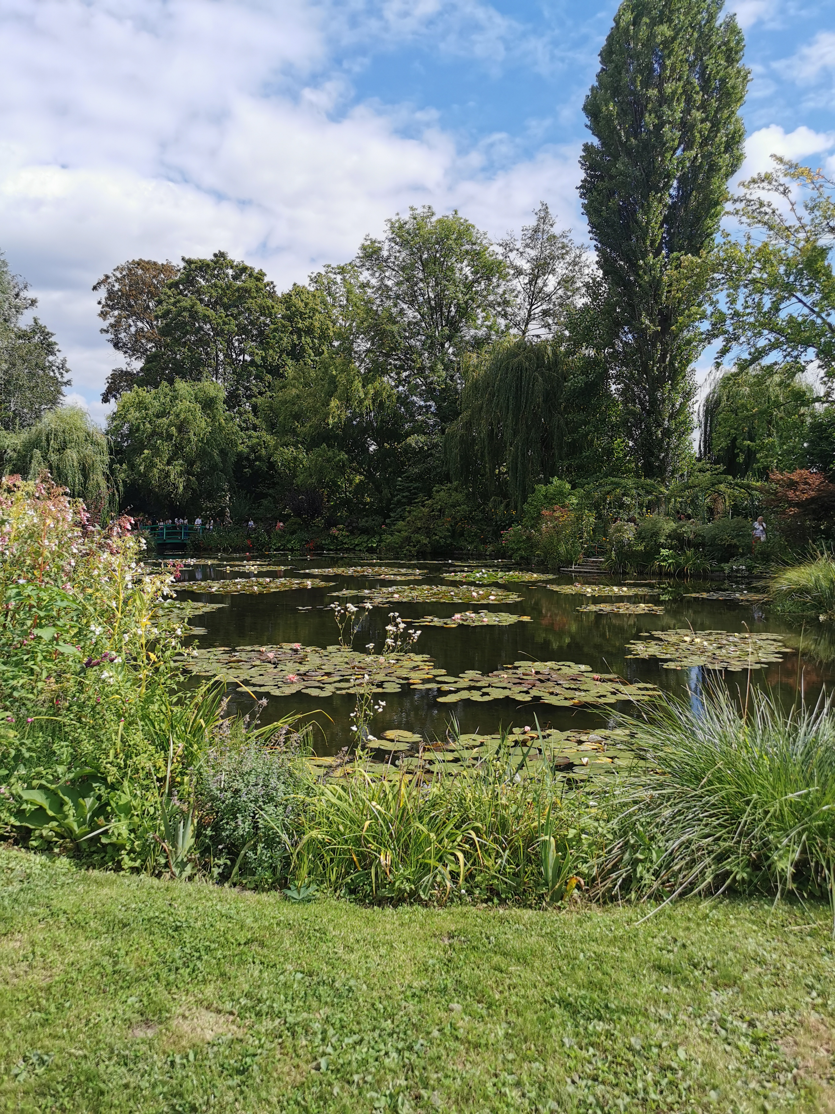 Photo n° 11 de l'avis de Francine.E fait le 27/08/2023 à 20:10