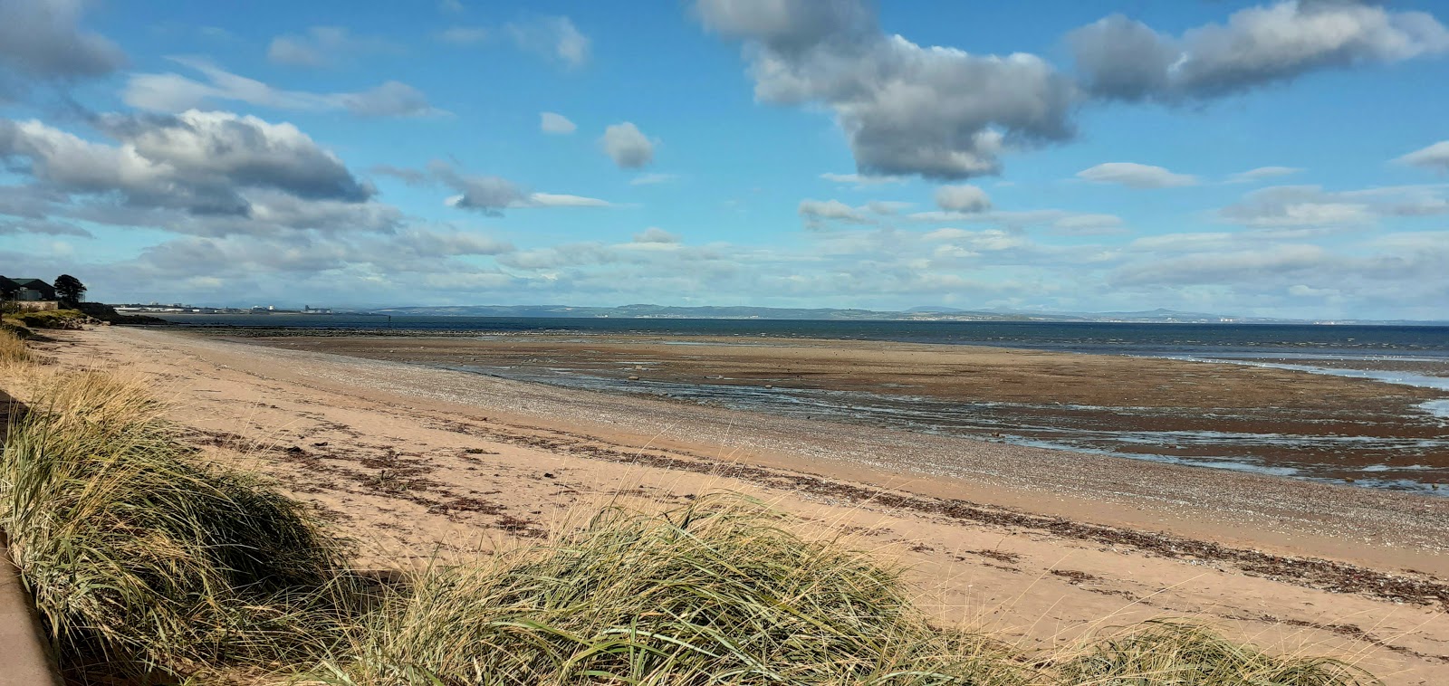 Musselburgh Beach photo #4