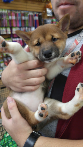 Pet Supply Store «Pet Ranch», reviews and photos, 3823 E 120th Ave, Denver, CO 80233, USA