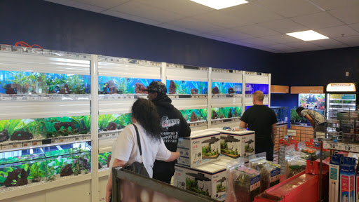 Pet Supply Store «Petco Animal Supplies», reviews and photos, 1100 Middle Country Rd, Selden, NY 11784, USA