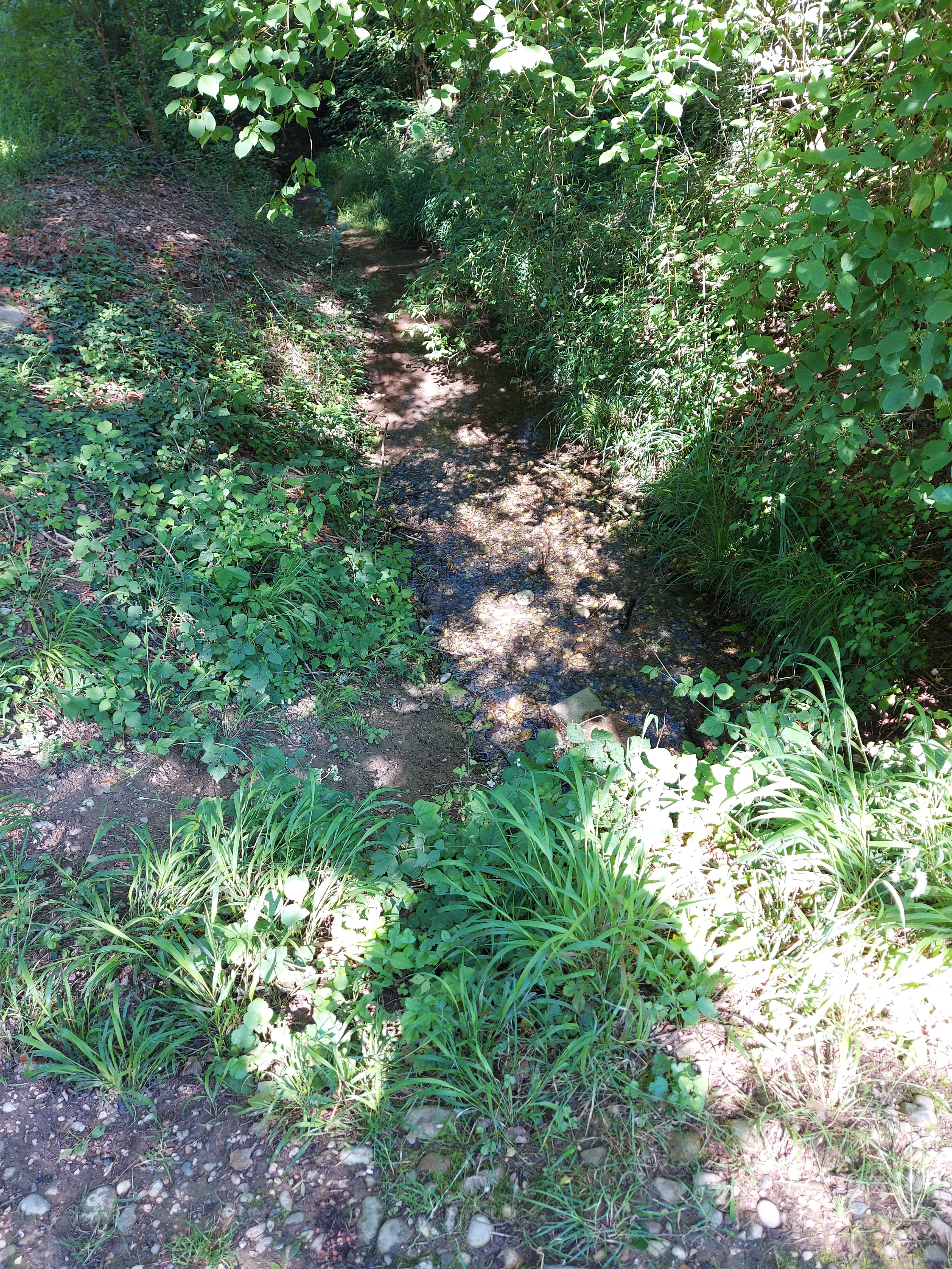 Photo n° 2 de l'avis de Lolo.o fait le 20/06/2020 à 13:12