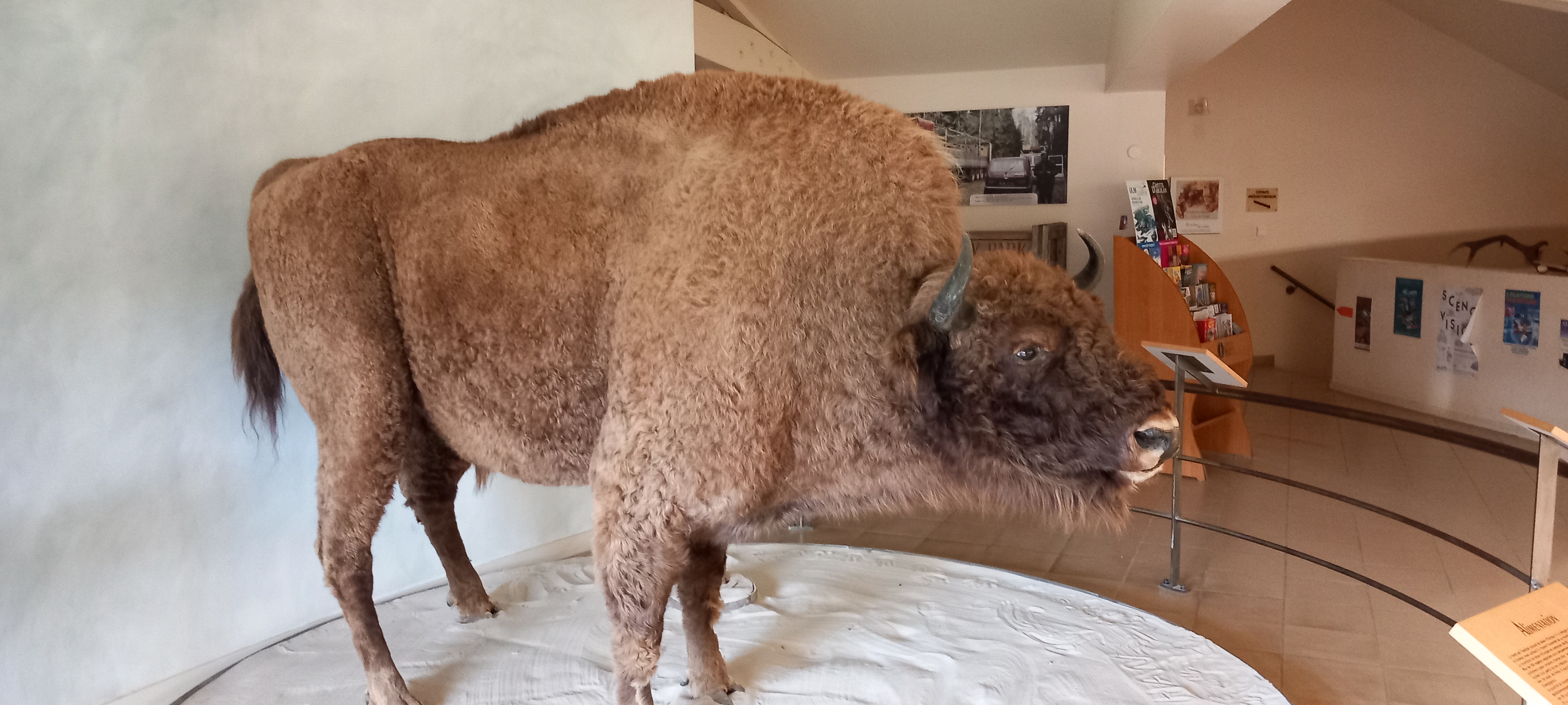 Photo n° 1 de l'avis de Phil.e fait le 01/11/2022 à 16:27