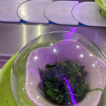 Photo n° 14 de l'avis de Sara.a fait le 23/10/2022 à 18:59 pour Sushi'S Bar - Buffet à volonté Asnières sur Seine à Asnières-sur-Seine