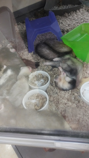 Pet Supply Store «Petco Animal Supplies», reviews and photos, 300 Quaker Ln #3, Warwick, RI 02886, USA