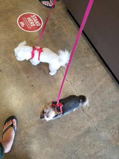 Pet Store «Super Pets», reviews and photos, 1807 E Chapman Ave, Orange, CA 92867, USA