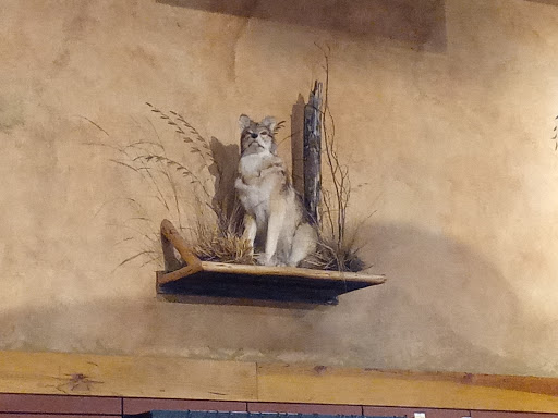 Sporting Goods Store «Bass Pro Shops», reviews and photos, 1365 S 5th St, St Charles, MO 63301, USA