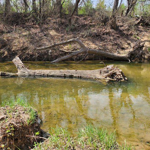 Park «Parr Park Sprayground», reviews and photos, 3010 Parr Ln, Grapevine, TX 76051, USA