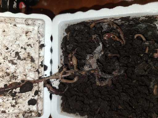 Pet Supply Store «Petco Animal Supplies», reviews and photos, 300 Hylan Dr, Rochester, NY 14623, USA