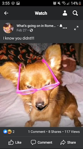 Whats Goin on in Romeo