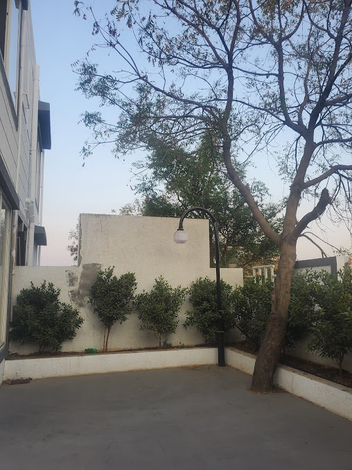 Google Maps image 19