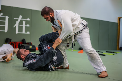 Martial Arts School «EvolveAll - Training Arts Center, Arlington VA», reviews and photos, 5818 Seminary Rd, Falls Church, VA 22041, USA