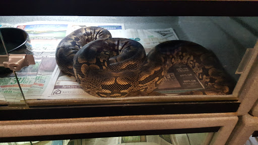 Pet Supply Store «Pet Bazaar», reviews and photos, 490 FL-436, Casselberry, FL 32707, USA