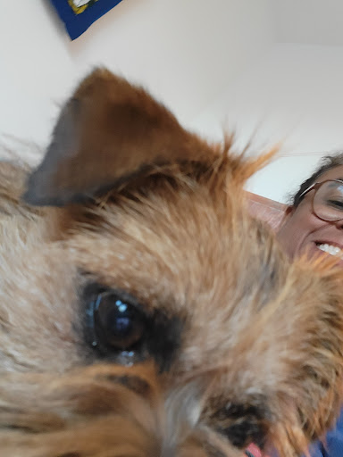 Paw Works image