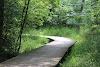 Heckrodt Wetland Reserve
