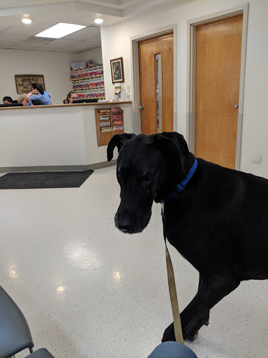 22 Sycamore Ave, Ho-Ho-Kus, NJ 07423, USA