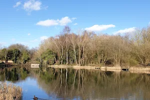 Tibshelf Ponds image