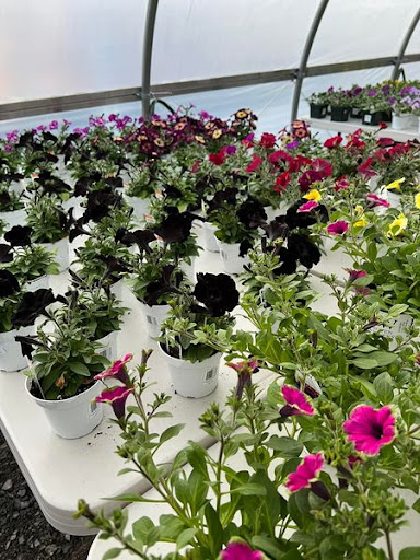 Florist «TG Designs», reviews and photos, 19231 Longmeadow Rd, Hagerstown, MD 21742, USA