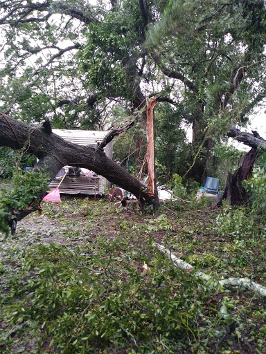 Park «Panama Park», reviews and photos, 6912 Buffalo Ave, Jacksonville, FL 32208, USA