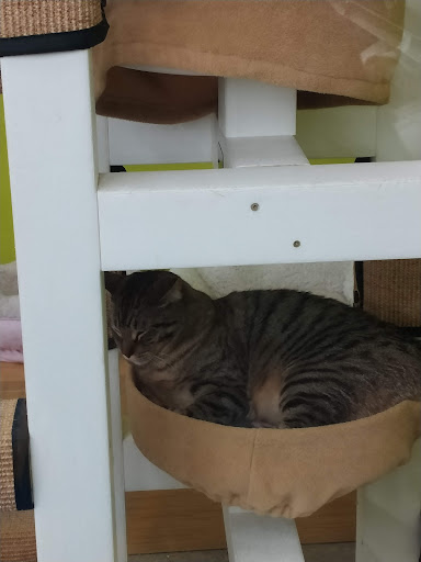 Pet Supply Store «Petco Animal Supplies», reviews and photos, 5961 Warner Ave, Huntington Beach, CA 92649, USA